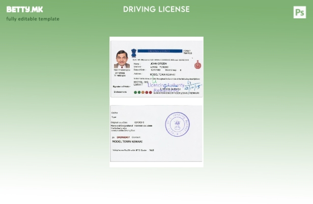 Шаблон за верзија на возачка дозвола во Индија во модерен стил